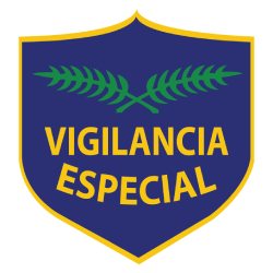 Vigilancia Especial - Seguridad Física y Electrónica